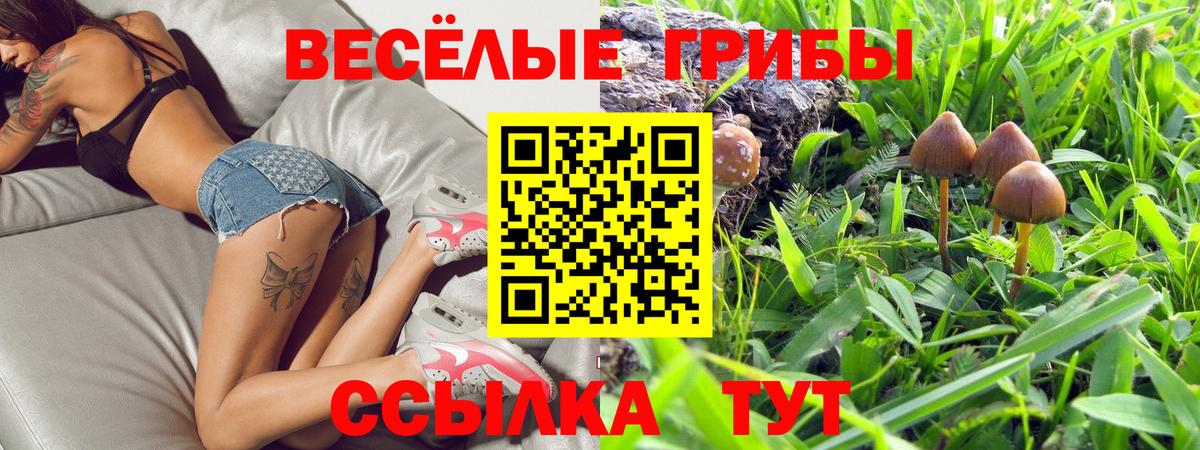 Псилоцибиновые грибы Psilocybine cubensis Александров
